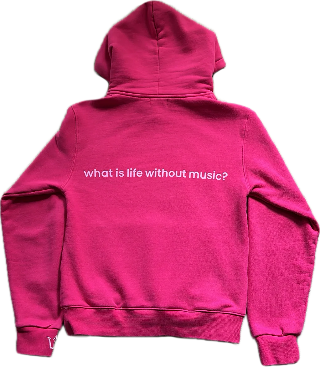 iPod Hoodie